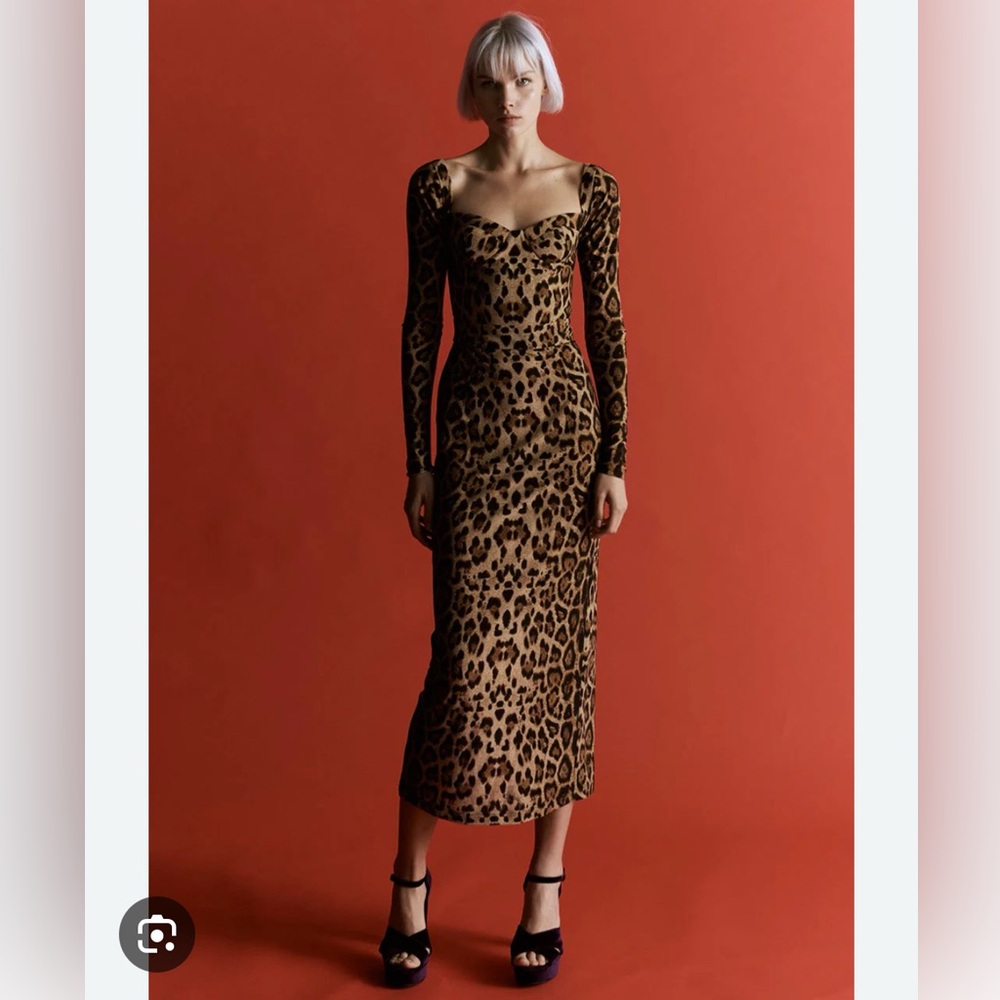 Leopard Print Midi Dress